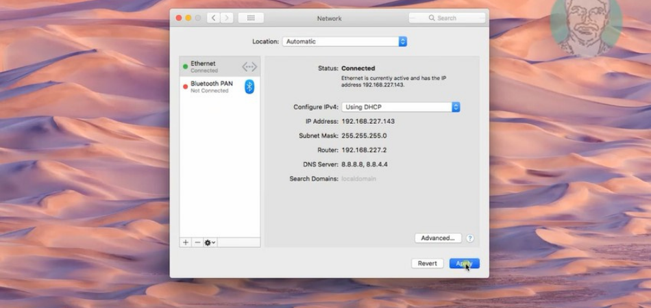 Safari Can’t Find Server – What Does This Mean?