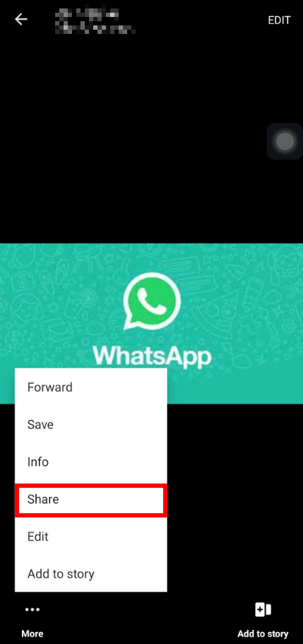 Now tap on the three-dot icon named More in the lower corner of the left side and choose Share from the pop-up menu