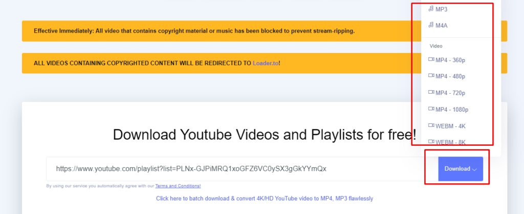 click on the Download” option
